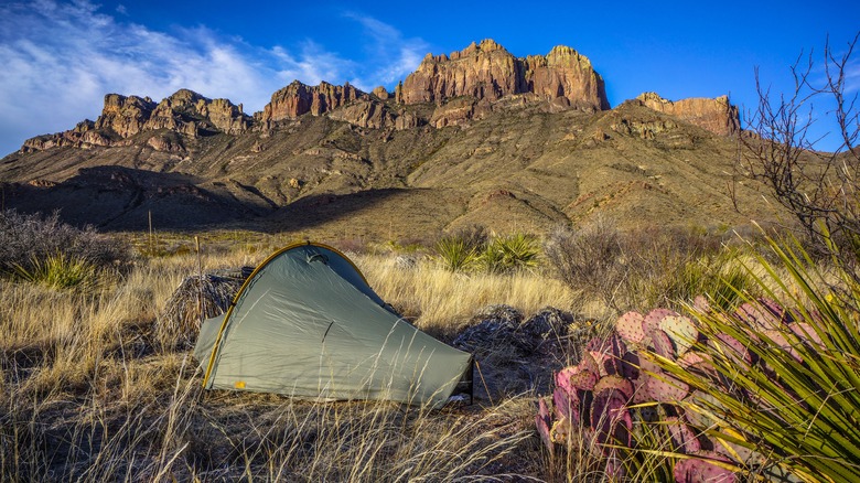 camping in big bend