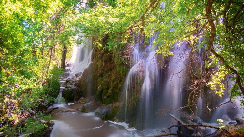 gorman falls 