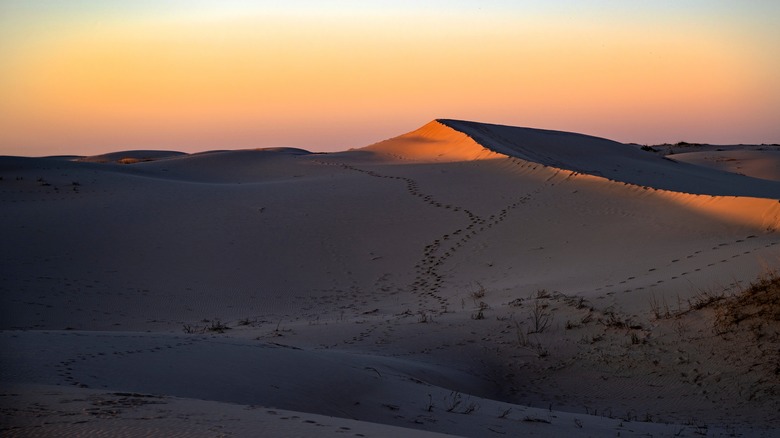 sunset at Monahans Sandhills 