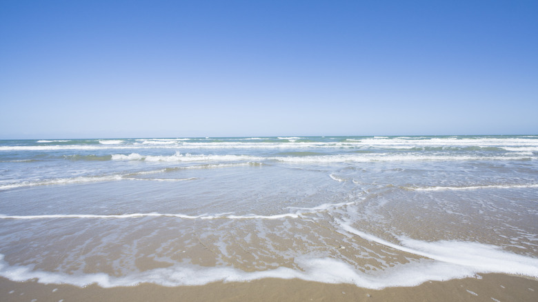 beach at south padre island