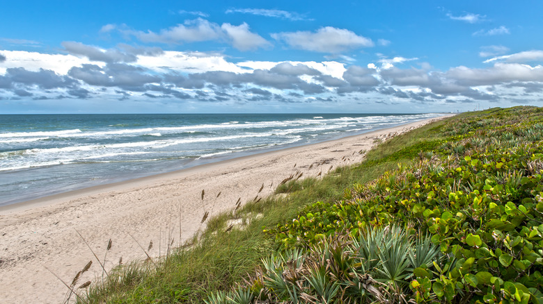 View of Cape Canaveral beach