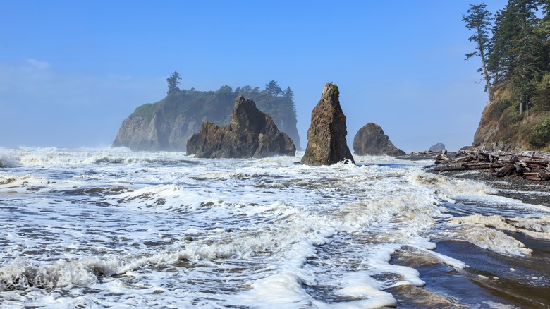 Ruby Beach, Olympic National Park