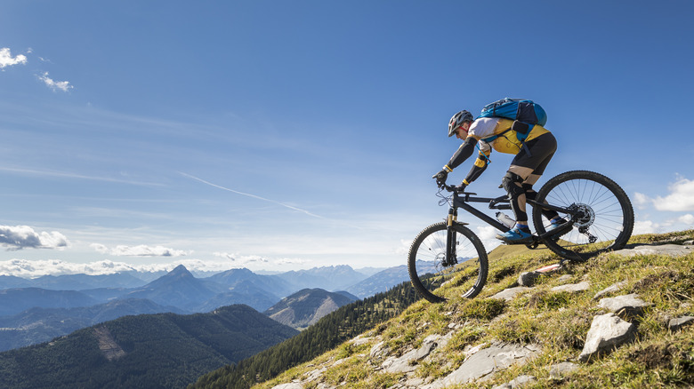 mountain biker atop mountain