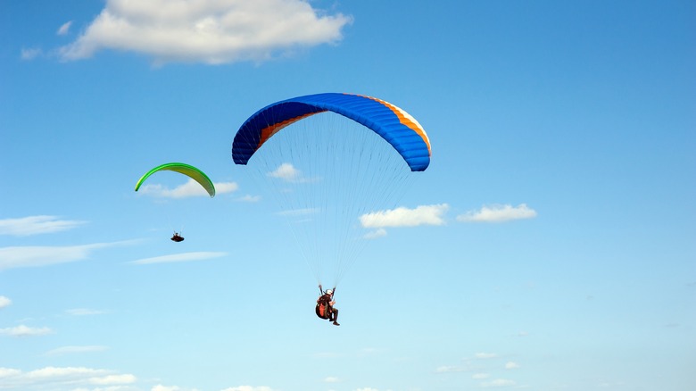 Adventurers out paragliding