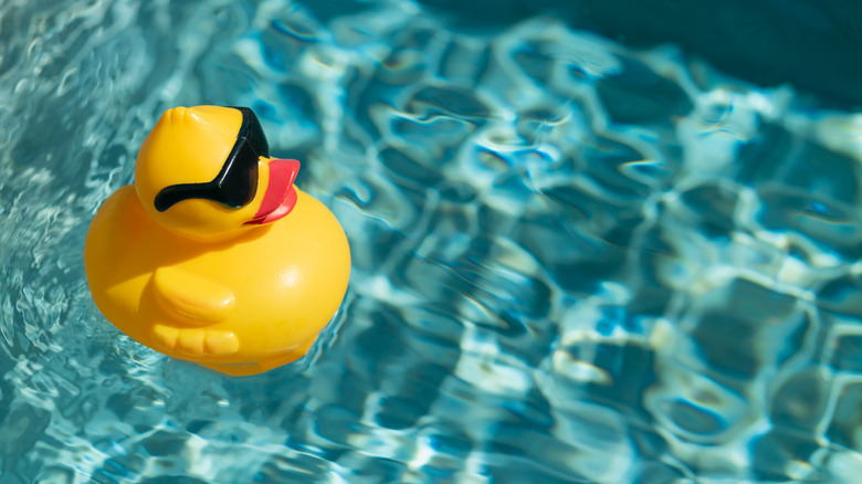 Rubber duck floating on water