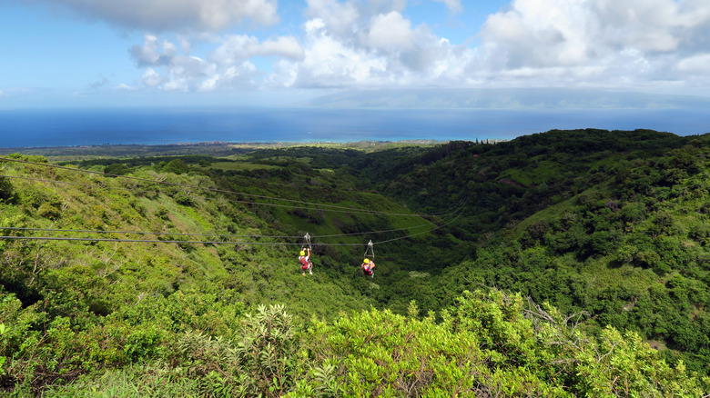 Zipline over verdant landscape