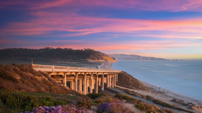 Torrey Pines State Beach, San Diego