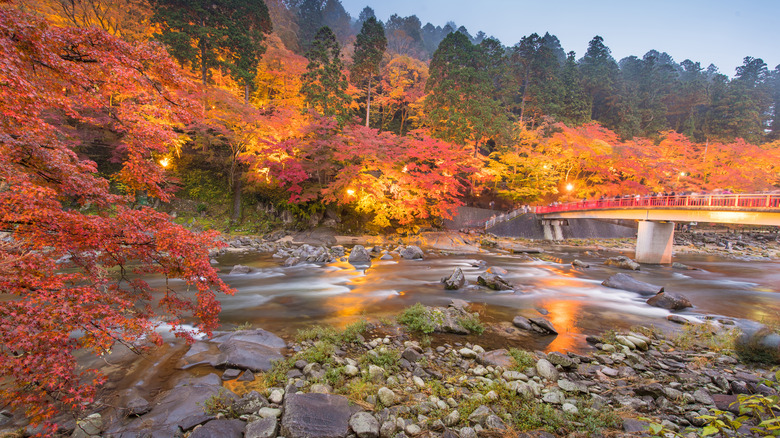 Fall foliage in Shizuoka