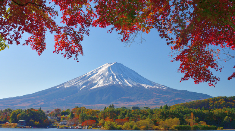Mount Fuji in the fall