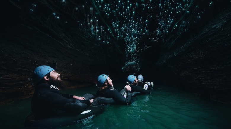 Cavers gaze at glowworm-covered ceiling