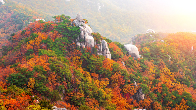 Bukhansan National Park in autum