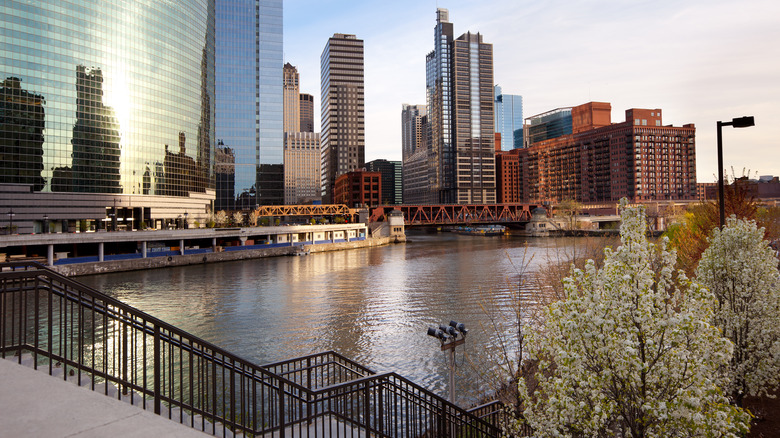 chicago skyline and river