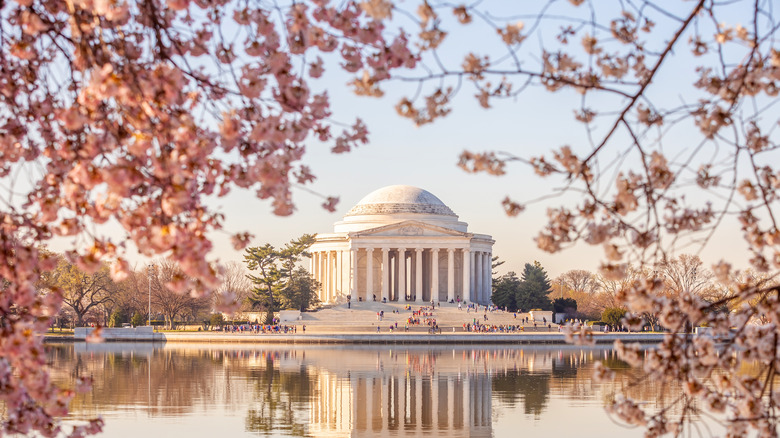 national monument framed by flowers