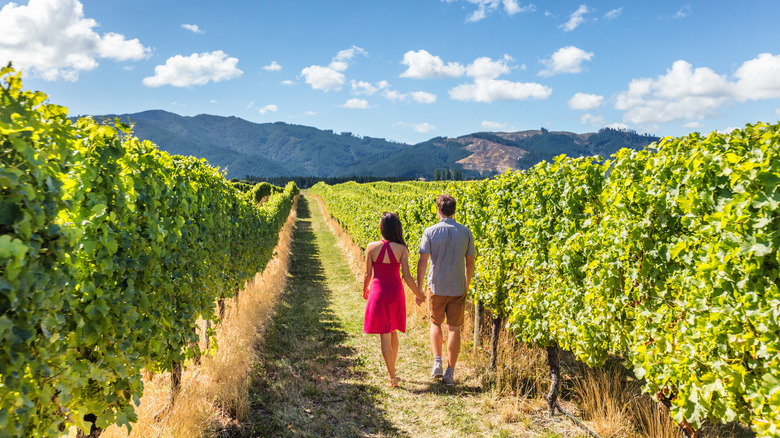 couple walking in vineyard