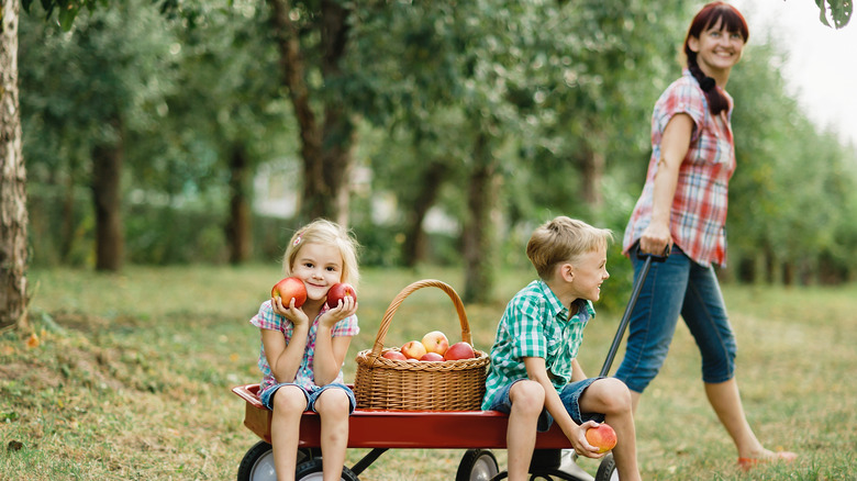 Mom and children picking apples