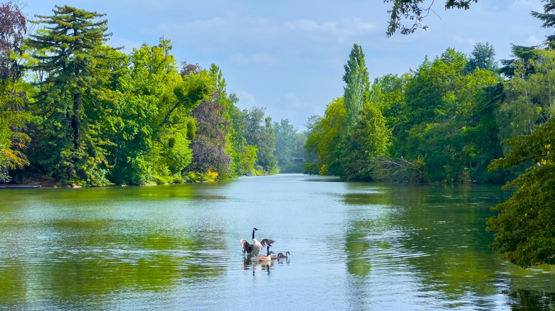 Bois de Boulogne