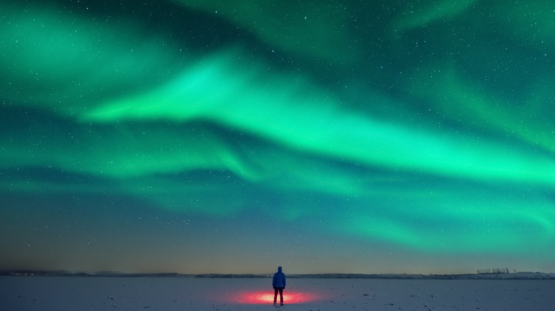 person standing outside with Northern Lights