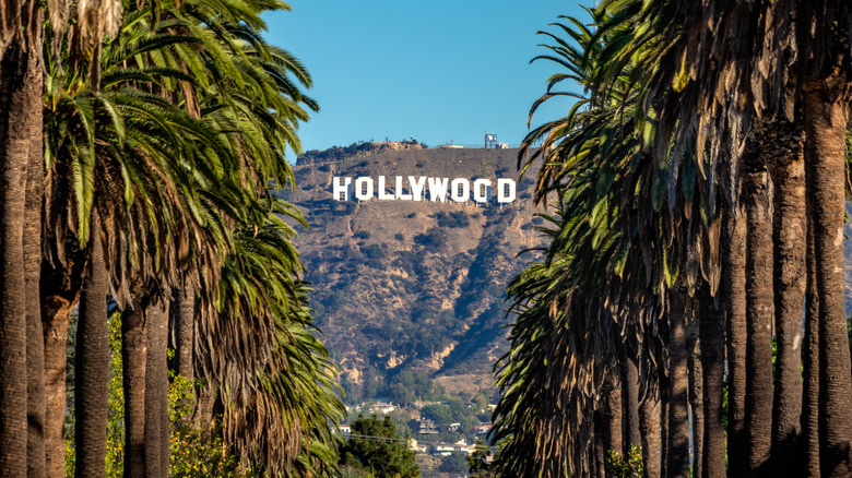 Hollywood sign with palm trees