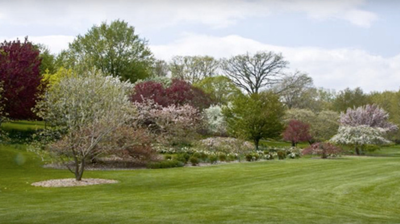 Bickelhaupt Arboretum in Clinton, Iowa