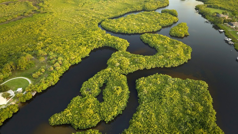 aerial of marshlands with waterways