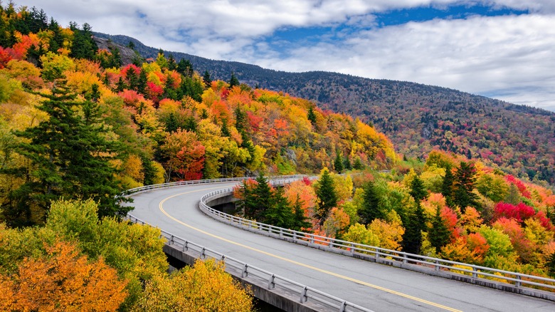 Blue Ridge Parkway