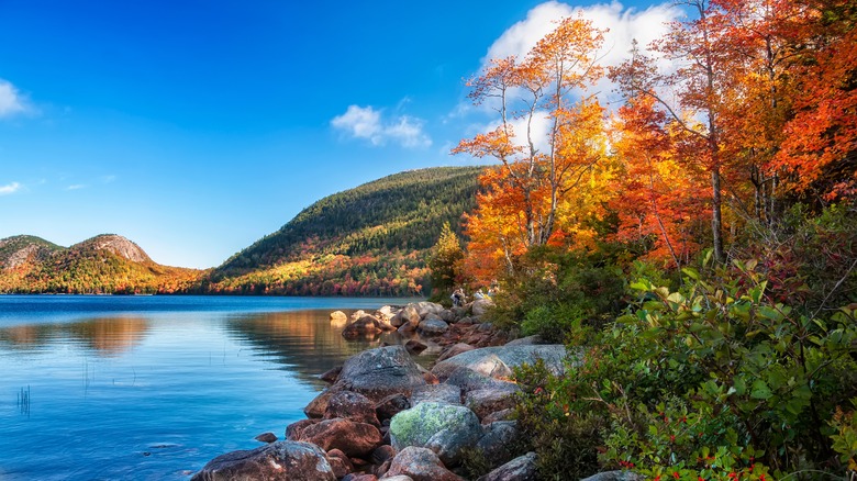 Fall in Acadia National Park