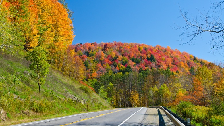 Fall color on Route 6