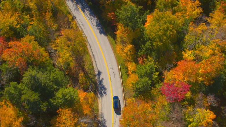 aerial view of car