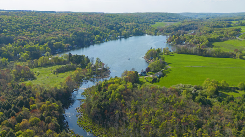 Finger Lakes region from above