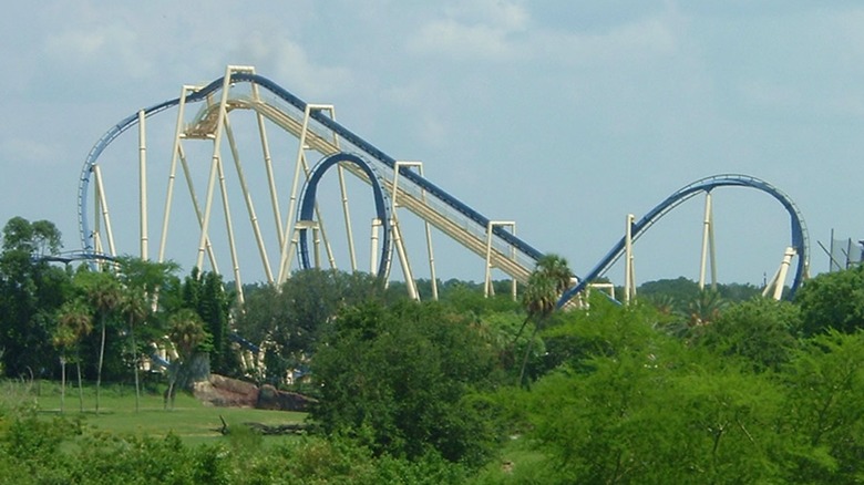 Montu coaster from a distance