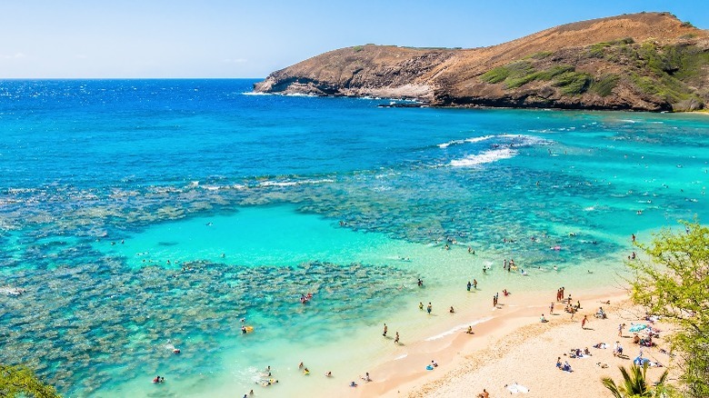 Hanauma Bay from above