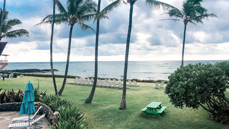 Beach at The Iso, Kauai