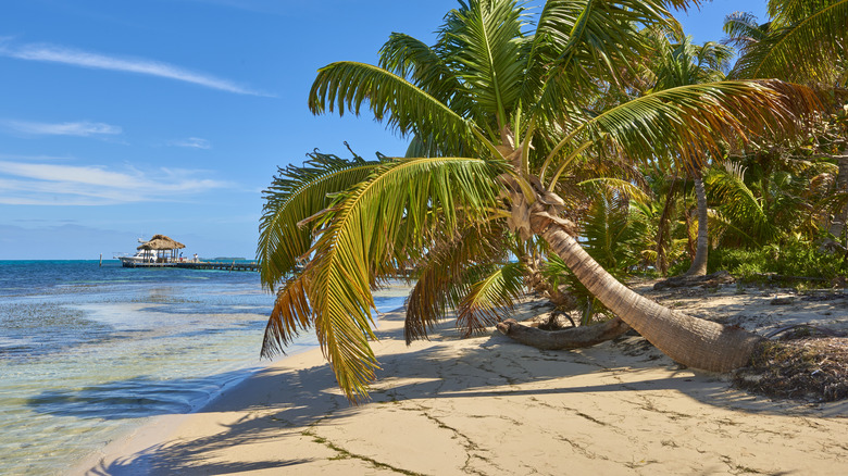 Beach in Belize