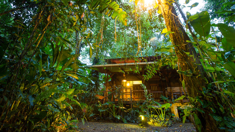 Lodge in Puerto Viejo