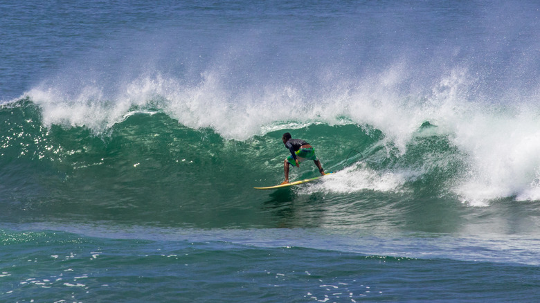 Surfing in Santa Catalina