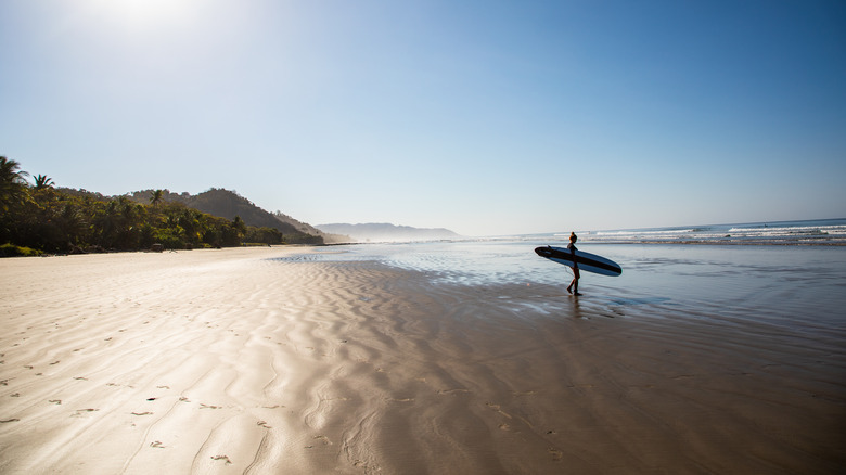 Morning surf Santa Teresa