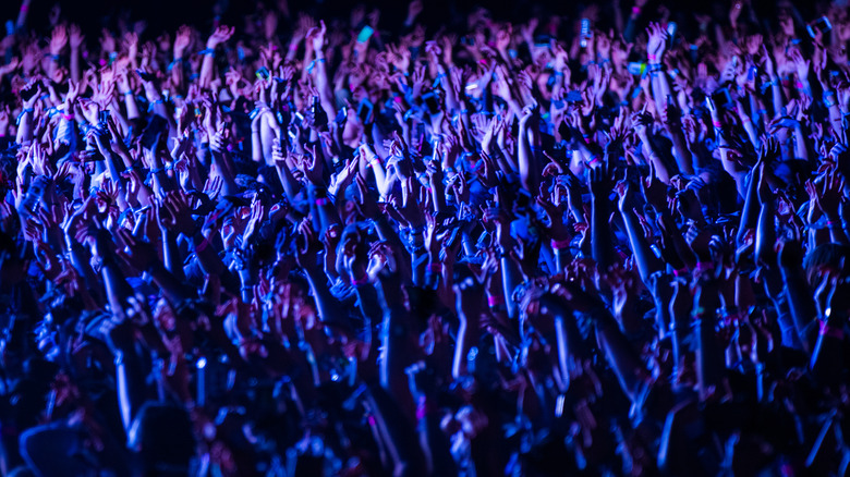 Audience at a concert