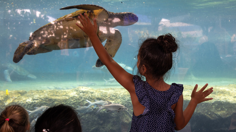 Girl at Maui Ocean Center