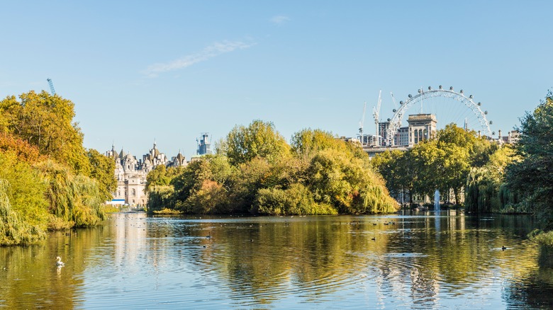 St. James' Park