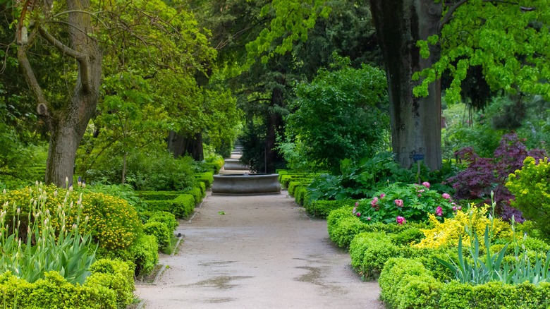 Botanic gardens in Madrid