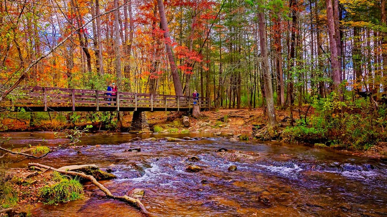 hikers in The Smokies