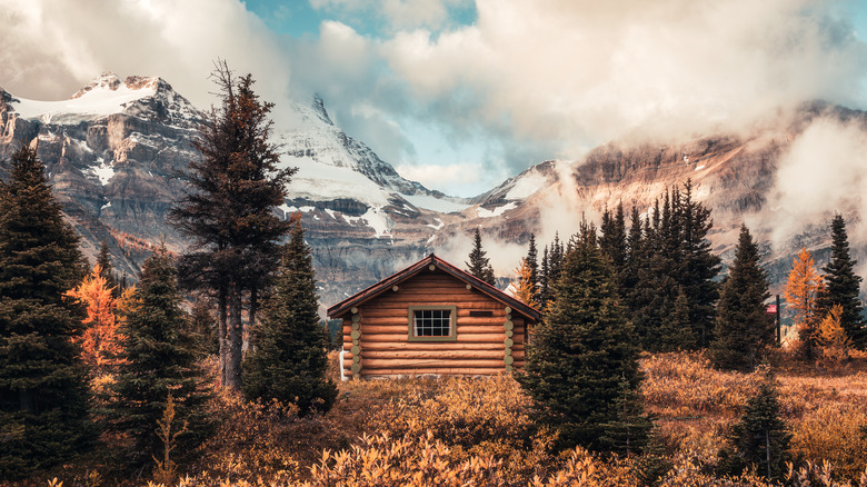 Log cabin in mountain woods