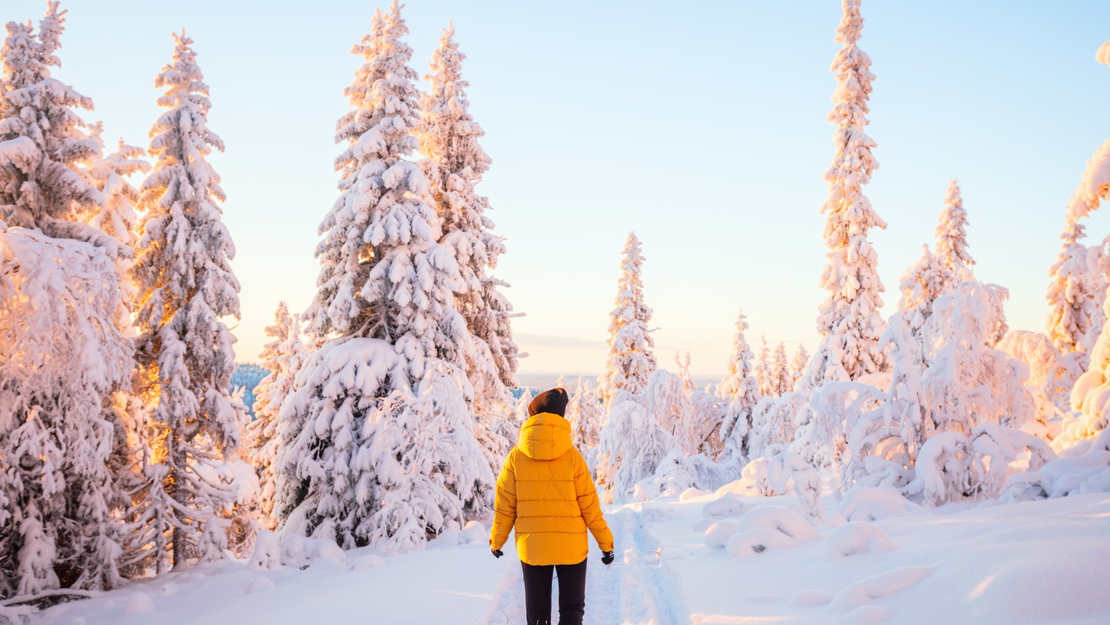 The Best Time Of Year To Experience All The Winter Activities Sweden ...