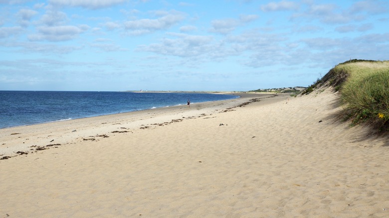 Empty Cape Cod Beach