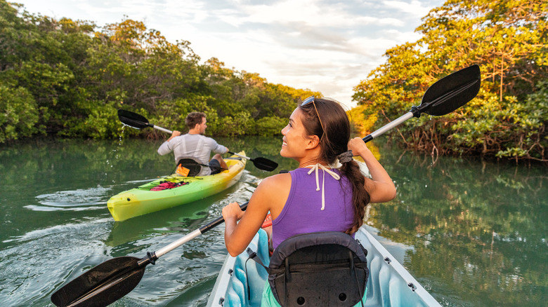 Couple kayaking through mangrove swamp
