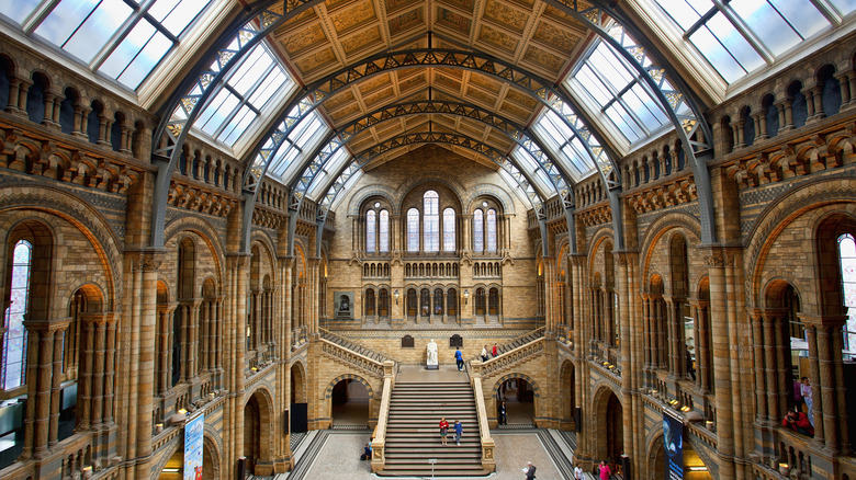 The Natural History Museum in London.