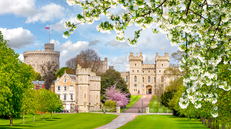 Windsor Castle framed by a blossoming tree in spring.