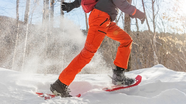 Hiker walks in snowshoes