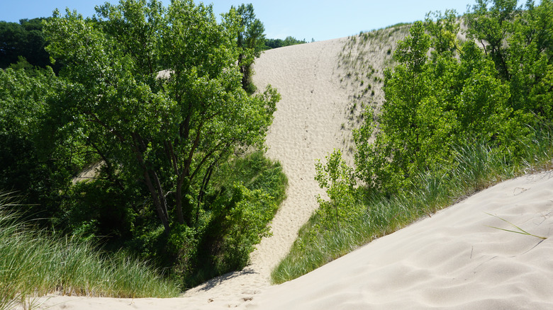 Warren Dunes State Park