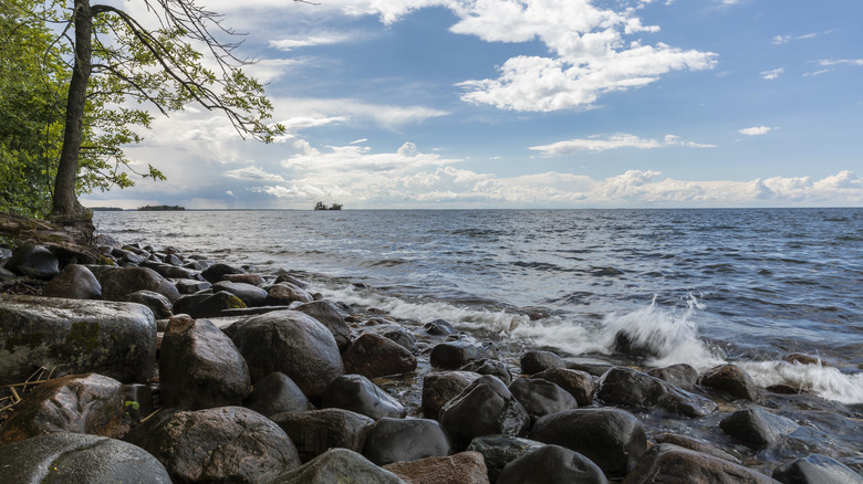 Shore of Mille Lacs Lake